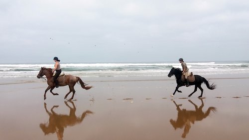 Riding Centre at the Sea