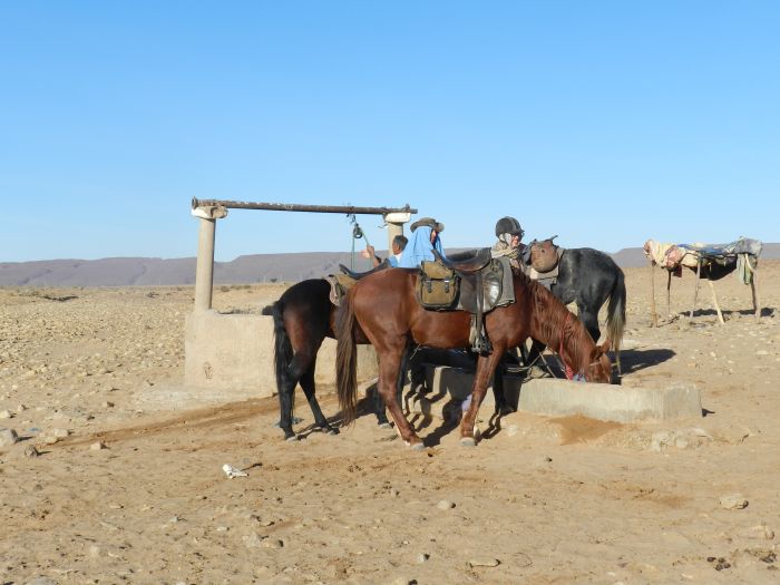 Sahara Desert Ride