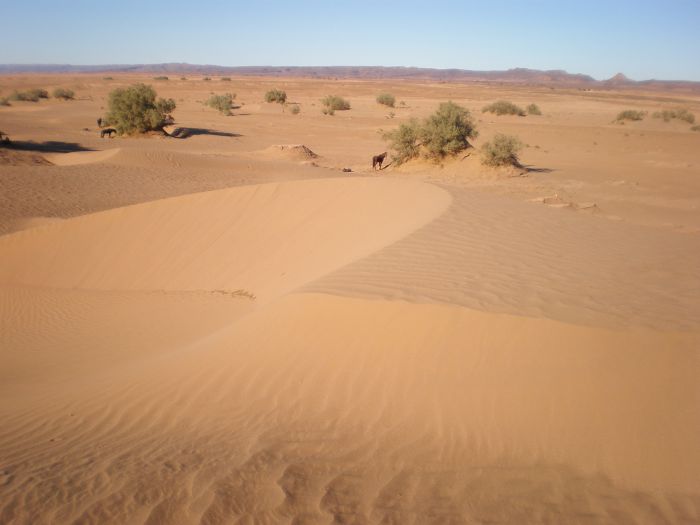 Sahara Desert Ride