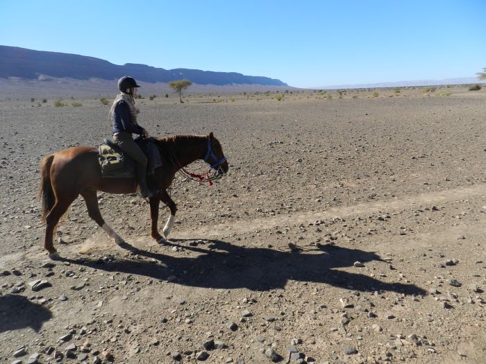 Sahara Desert Ride