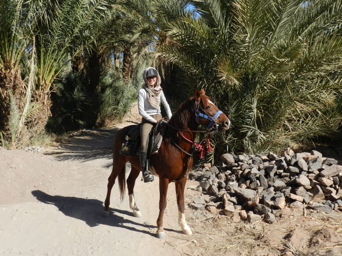 Sahara Desert Ride