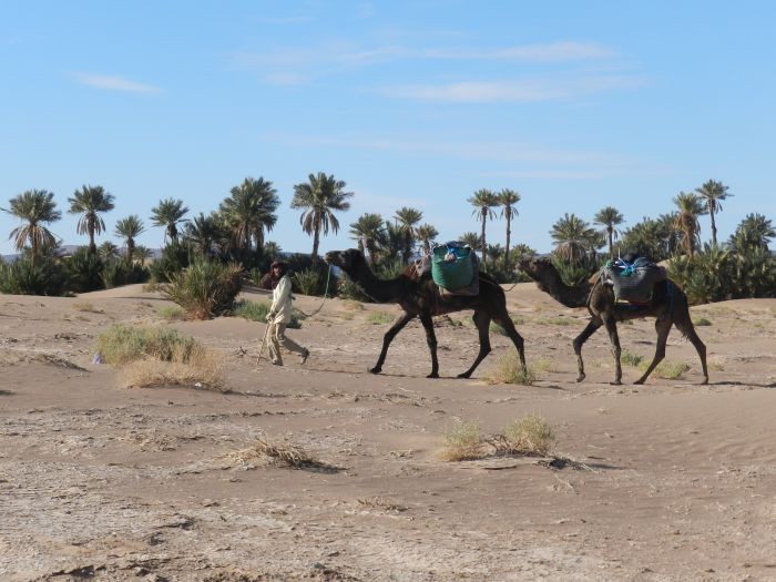 Sahara Desert Ride