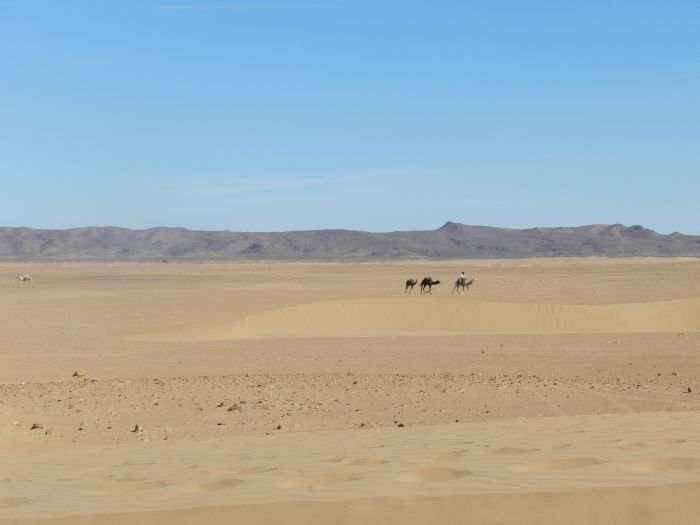 Sahara Desert Ride