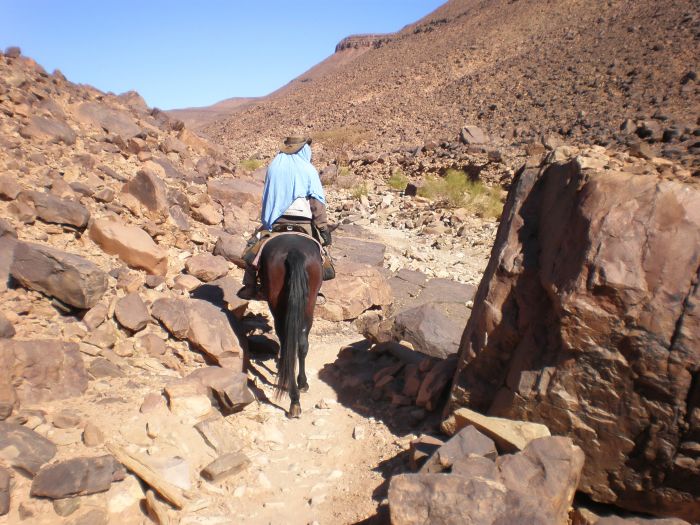 Sahara Desert Ride
