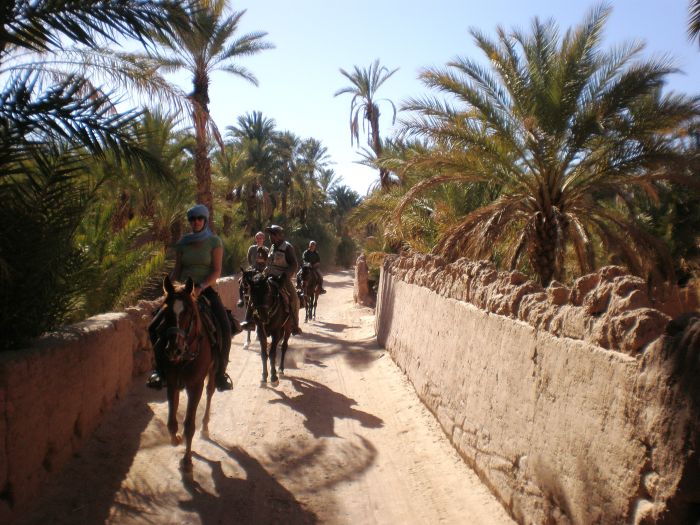 Sahara Desert Ride
