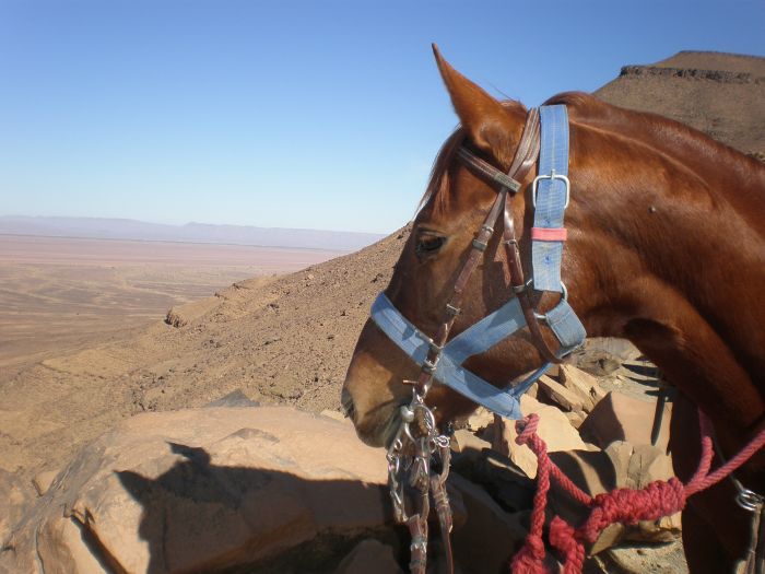 Sahara Desert Ride