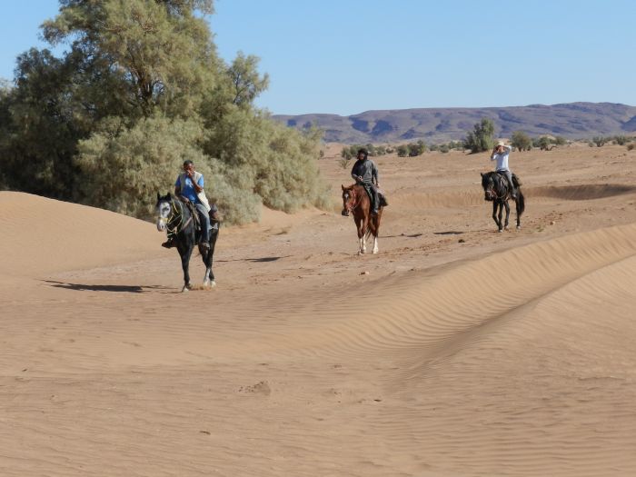 Sahara Desert Ride