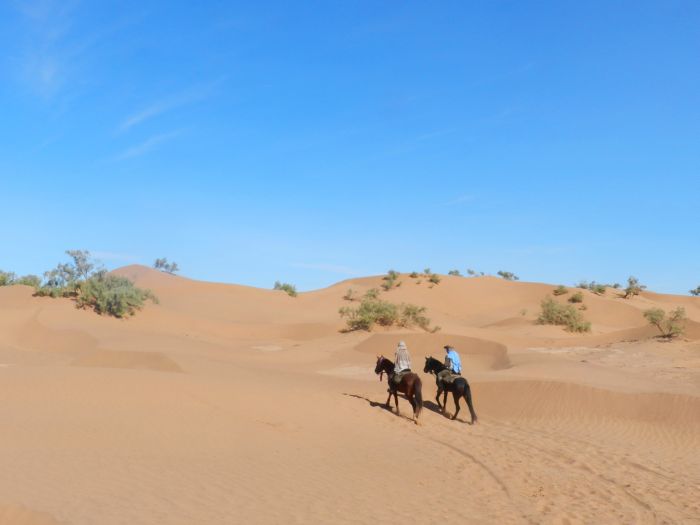 Sahara Desert Ride