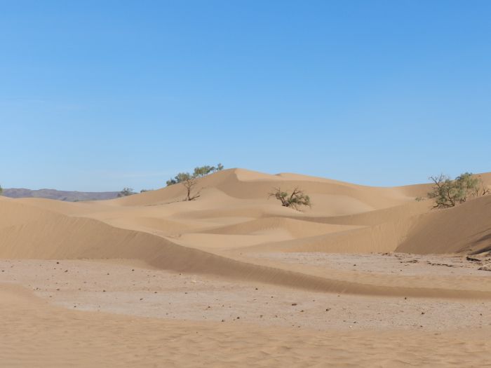 Sahara Desert Ride