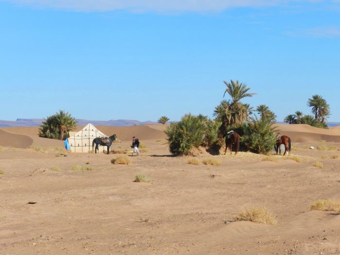 Sahara Desert Ride