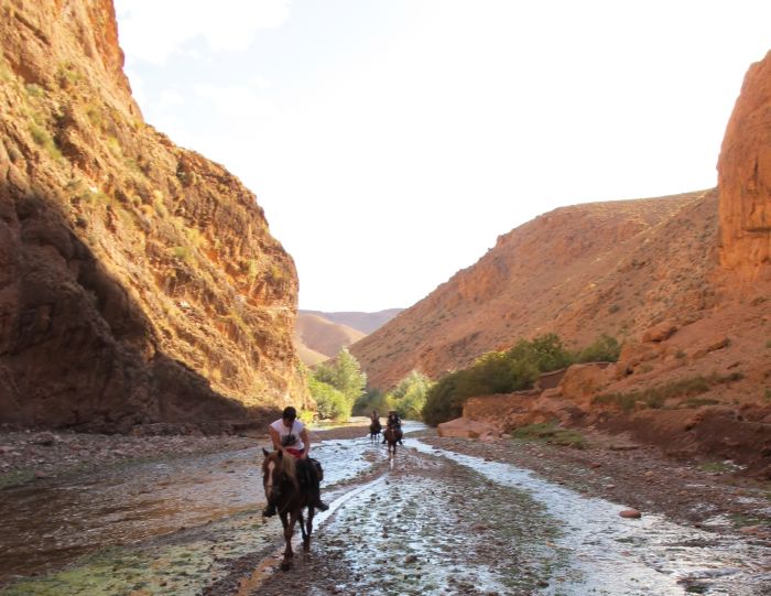 Valley of the Roses & Saghro Trail
