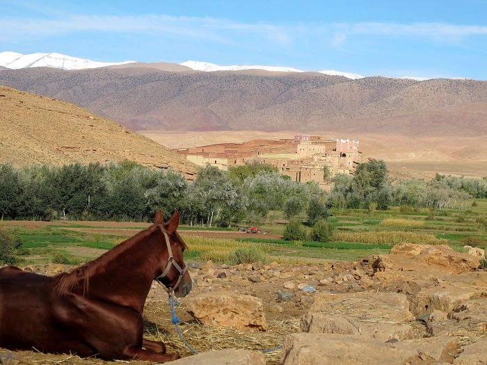 Valley of the Roses & Saghro Trail