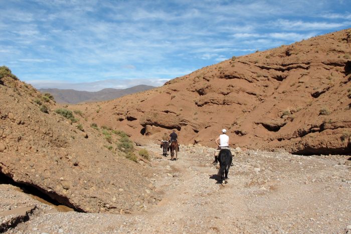 Valley of the Roses & Saghro Trail