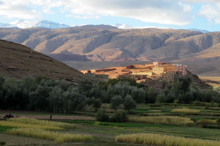Valley of the Roses & Saghro Trail