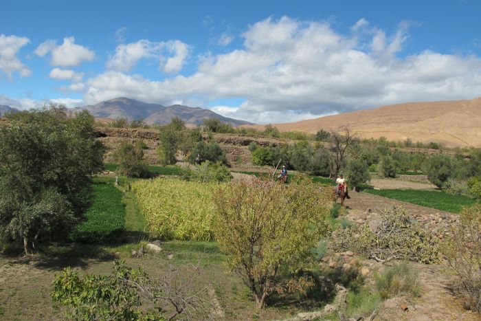 Valley of the Roses & Saghro Trail