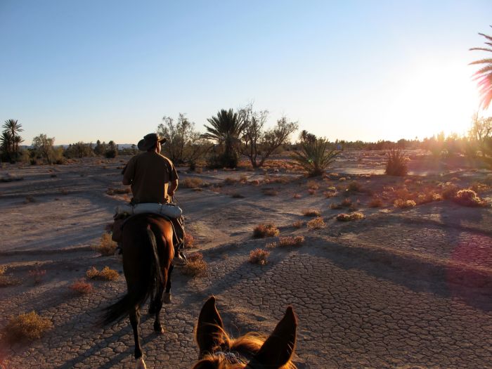 Valley of the Roses & Saghro Trail