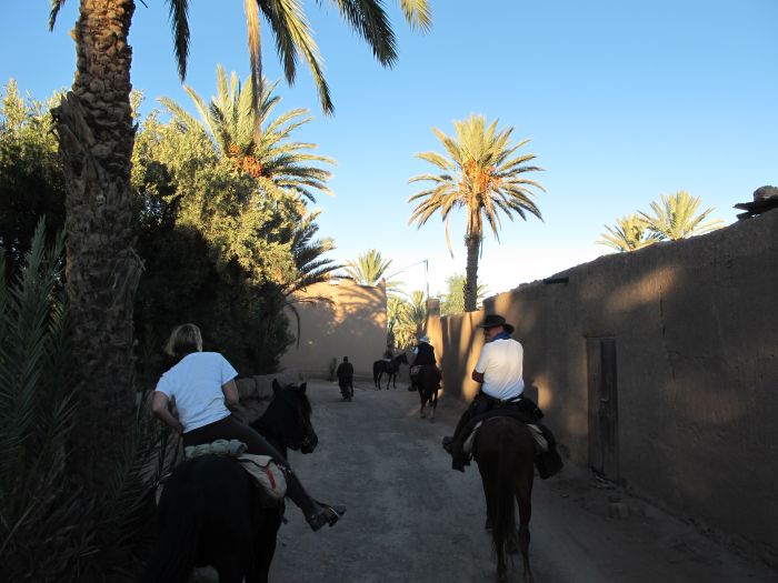 Valley of the Roses & Saghro Trail