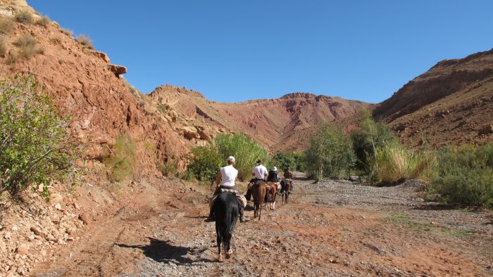 Valley of the Roses & Saghro Trail