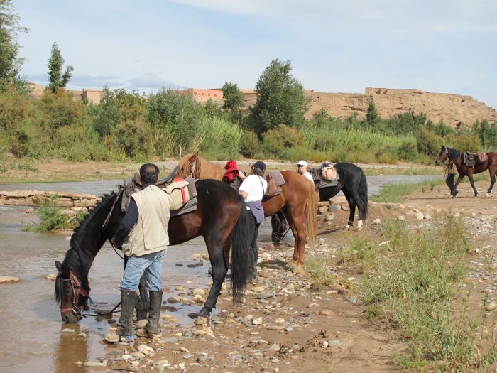 Valley of the Roses & Saghro Trail