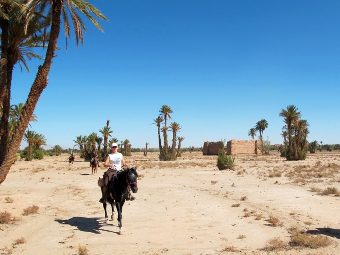 Valley of the Roses & Saghro Trail