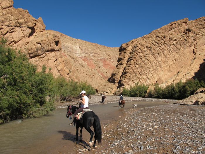 Valley of the Roses & Saghro Trail