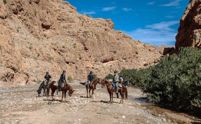 Valley of the Roses & Saghro Trail
