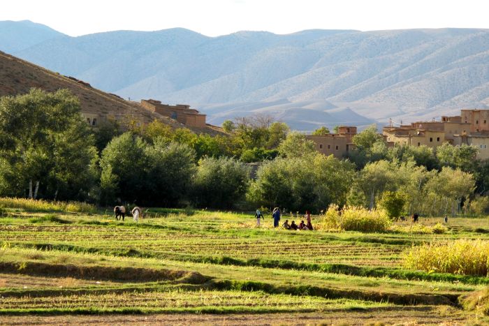 Valley of the Roses & Saghro Trail
