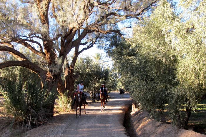 Valley of the Roses & Saghro Trail