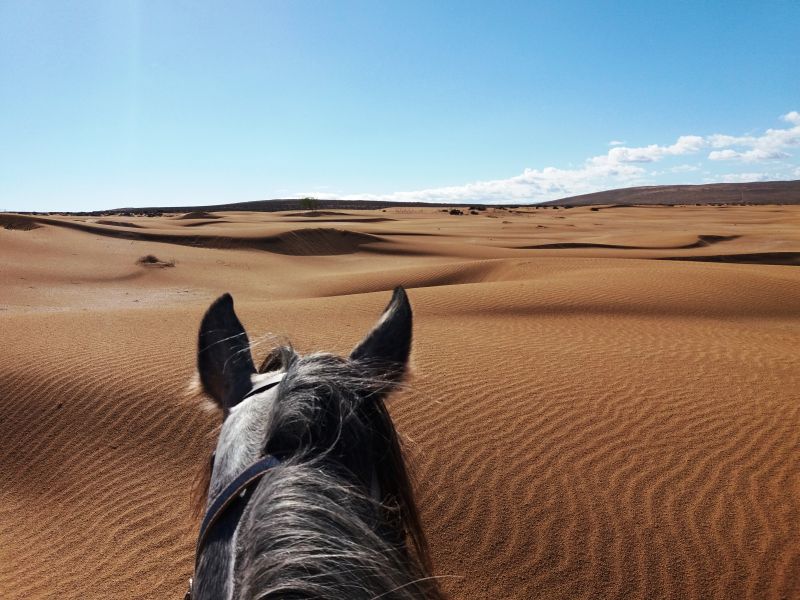Berber Oasis Trail