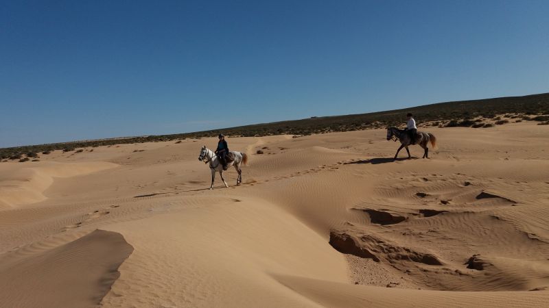 Berber Oasis Trail