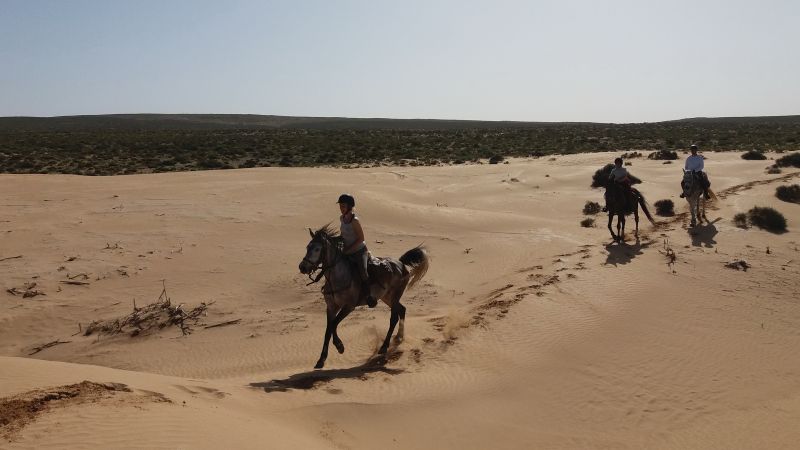 Berber Oasis Trail
