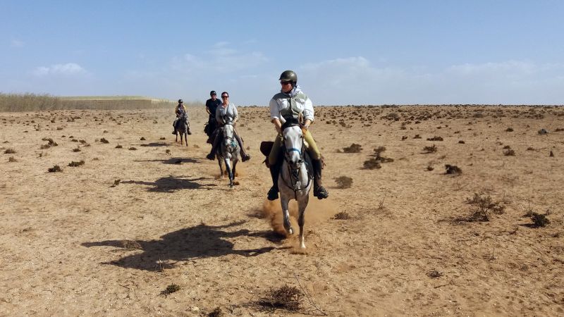 Berber Oasis Trail