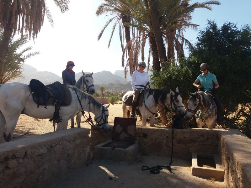 Berber Oasis Trail
