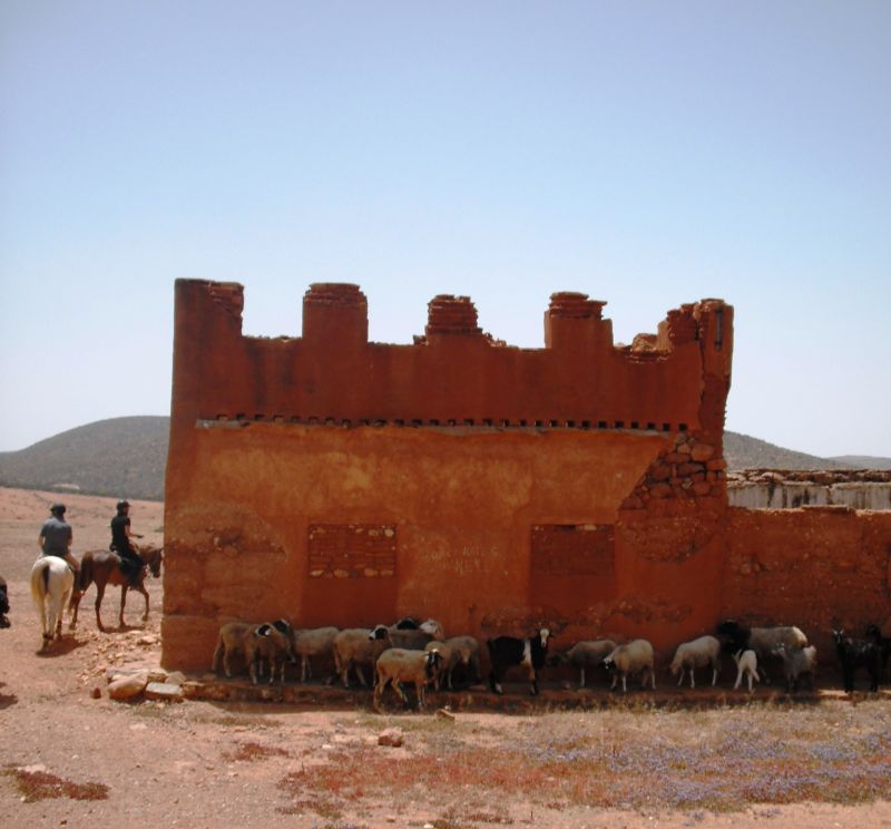 Berber Oasis Trail