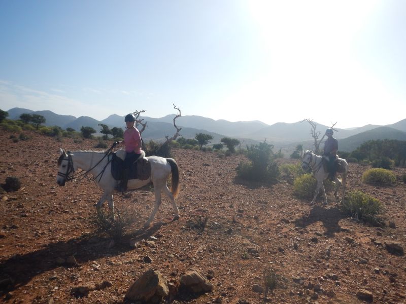 Berber Oasis Trail