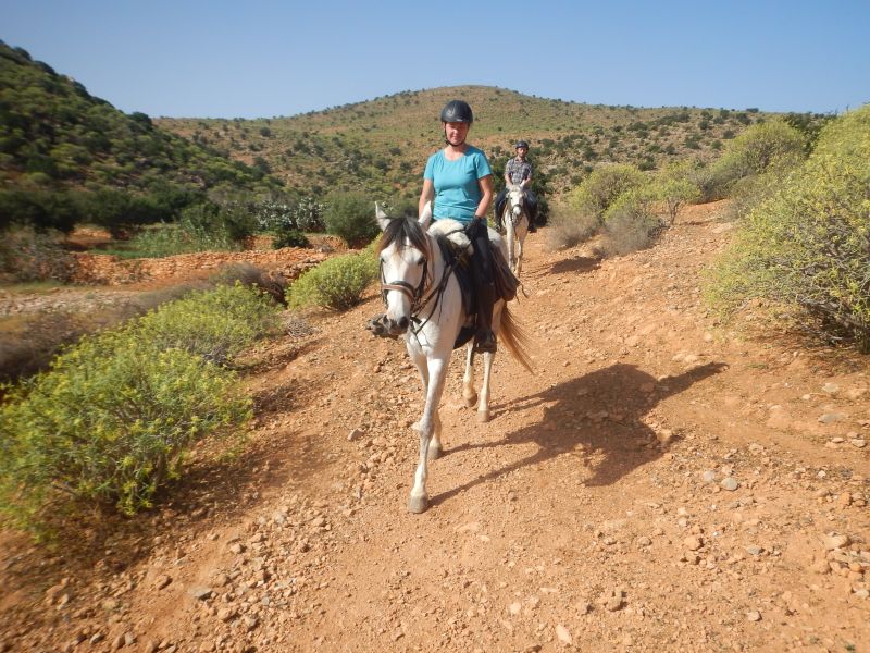 Berber Oasis Trail