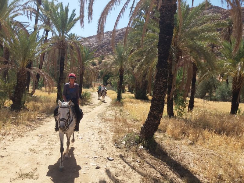 Berber Oasis Trail