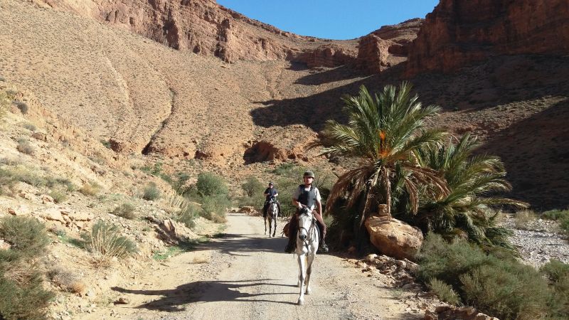 Berber Oasis Trail