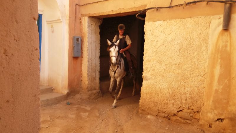 Berber Oasis Trail