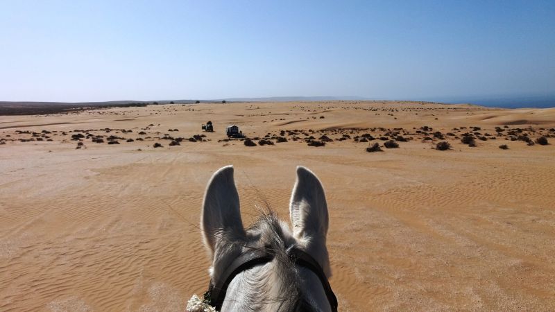 Berber Oasis Trail