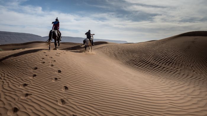 Dunes & oases ride