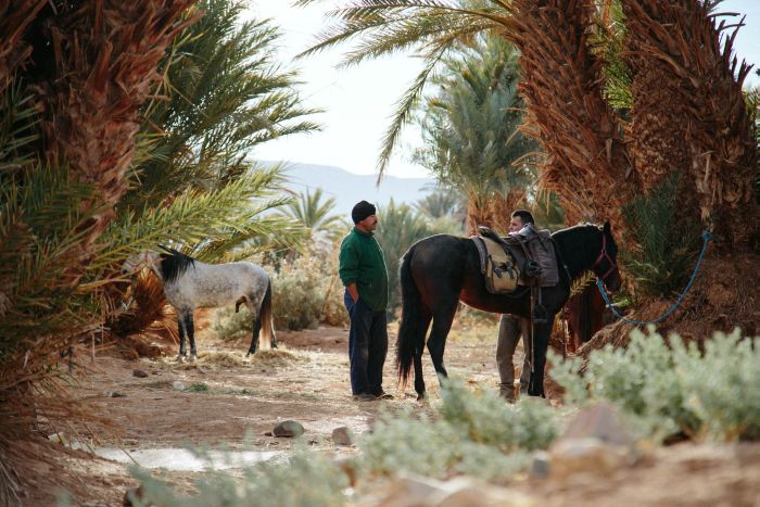 Dunes & oases ride