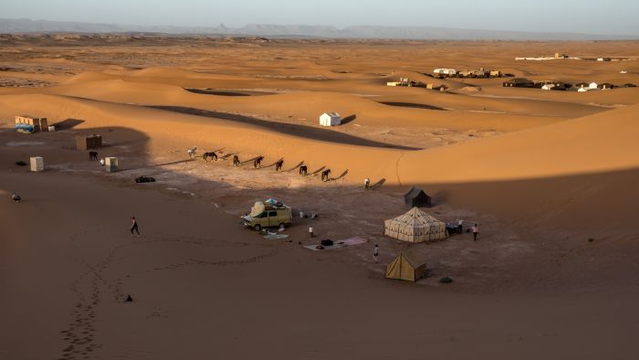 Dunes & oases ride