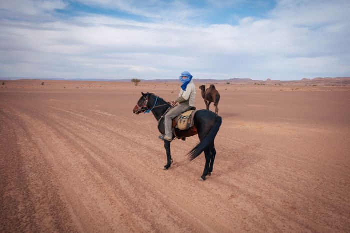 Dunes & oases ride