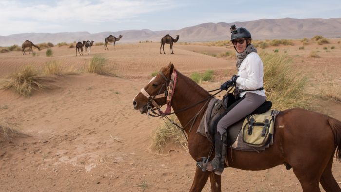 Dunes & oases ride