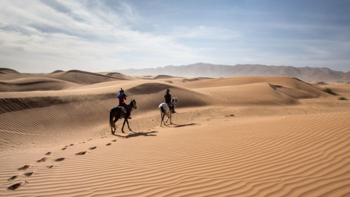 Dunes & oases ride