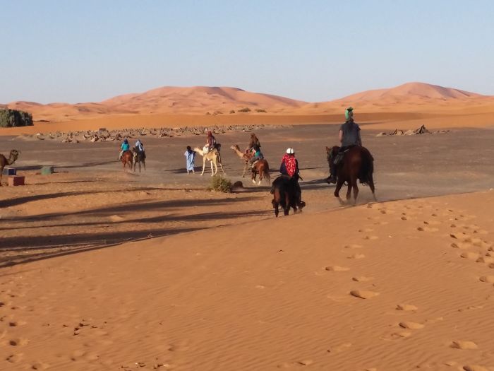 Dunes & oases ride