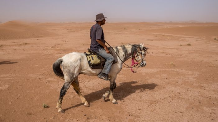Dunes & oases ride