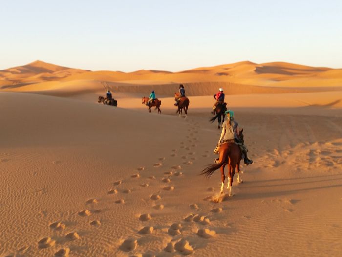 Dunes & oases ride