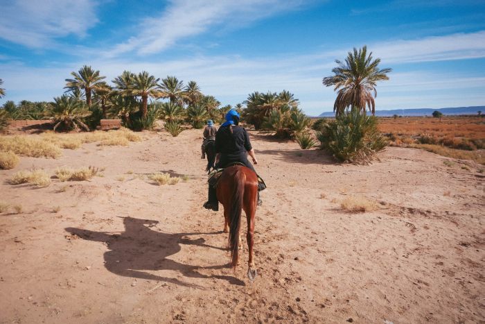 Dunes & oases ride